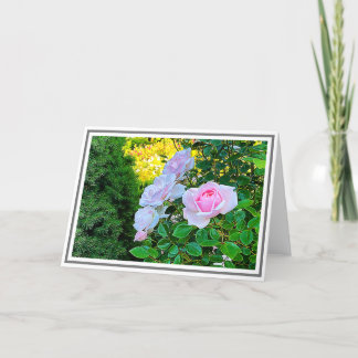 Foto-Blek-Rosa-Rosor med Grönt-påfyllning Kort