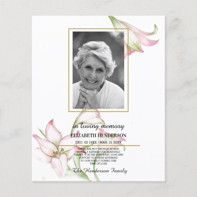 FOTO-budgetsympati för att ladda minnesutrymme. Fl Flygblad (Framsidan)