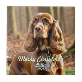 Foto Cocker Spaniel KEEPSEMINNE Personlig Kakelplatta