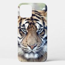Foto, djur, tiger, tigre . Fodral-Mate iPhon