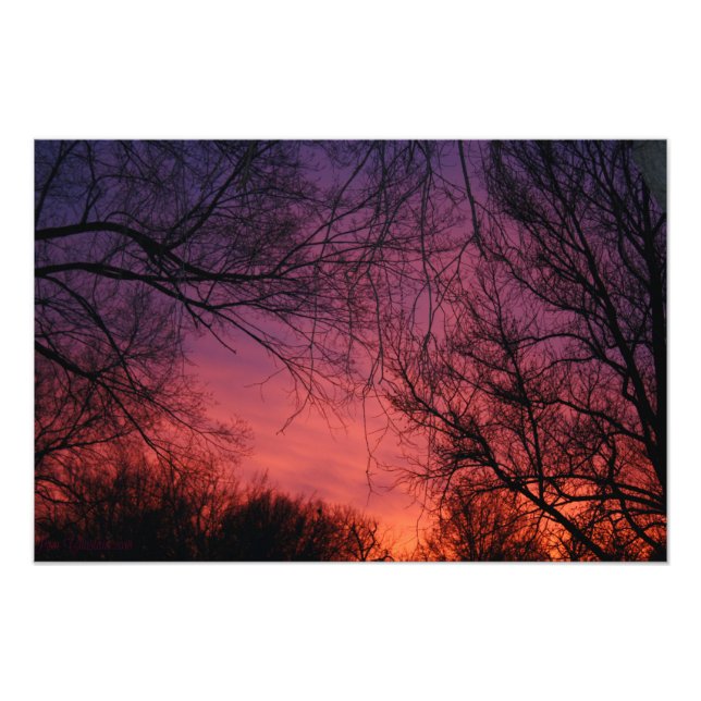 Foto "Färg" (Framsidan)