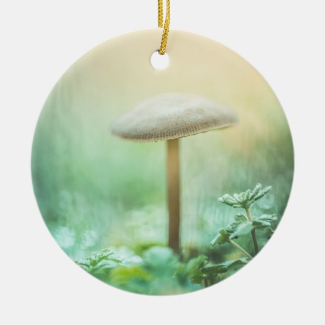 Foto för ändrad svamp-natur julgransprydnad keramik (Framsidan)