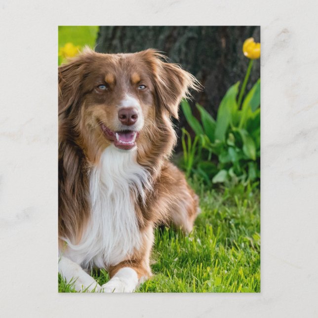 Foto för anpassningsbar Personlig Vykort (Framsida)