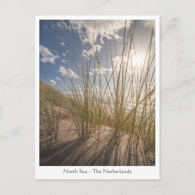 Foto för båge och Sol-natur Vykort (Framsida)