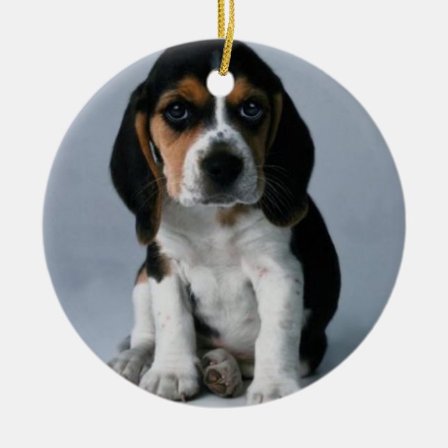 Foto för Beaglevalphund Julgransprydnad Keramik (Framsidan)