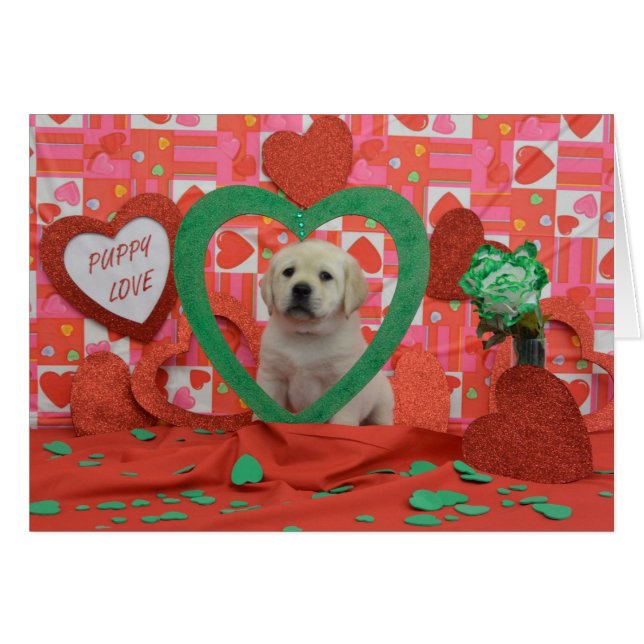 Foto för bedragarevecka 6 hälsningskort (Framsidan Horizontal)