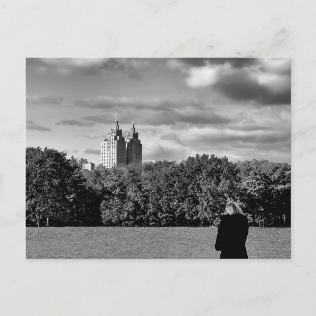 Foto för Black and White Central Park liggande Vykort (Framsida)