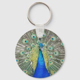 Foto för blåraket Feather Plumage Foto Nyckelring