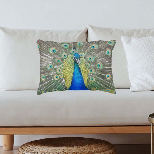 Foto för blåraket Feather Plumage Foto Prydnadskudde (In Situ Sofa)