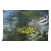 Foto för blommande natur