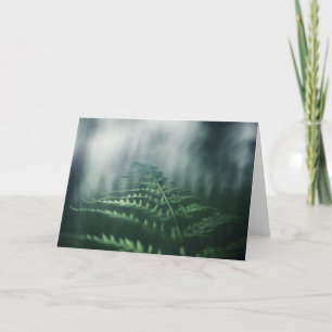 Foto för blommande natur kort