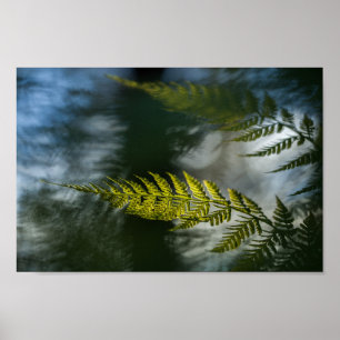 Foto för blommande natur poster