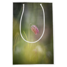 Foto för blommans natur