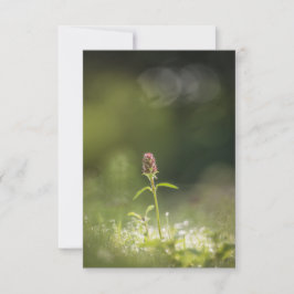 Foto för blommiga blommor kort