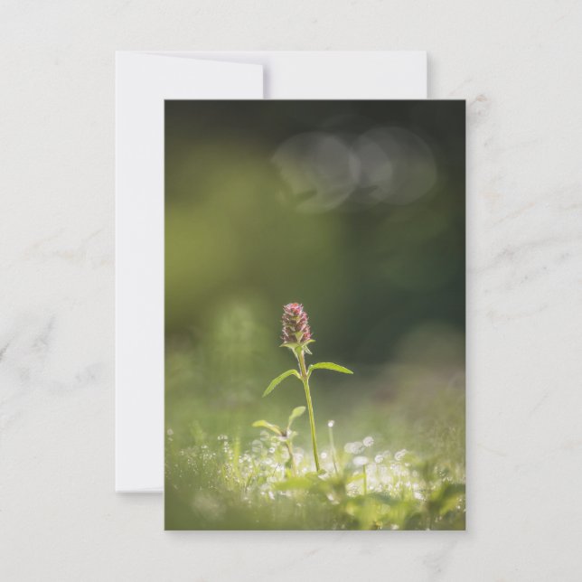 Foto för blommiga blommor kort (Framsida)