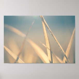 Foto för Blommigt av gräsmark Poster