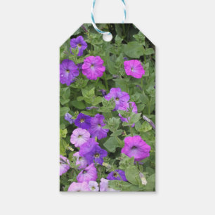 Foto för blommigt för Petunia för vår Presentetikett