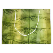 Foto för blommigtens natur