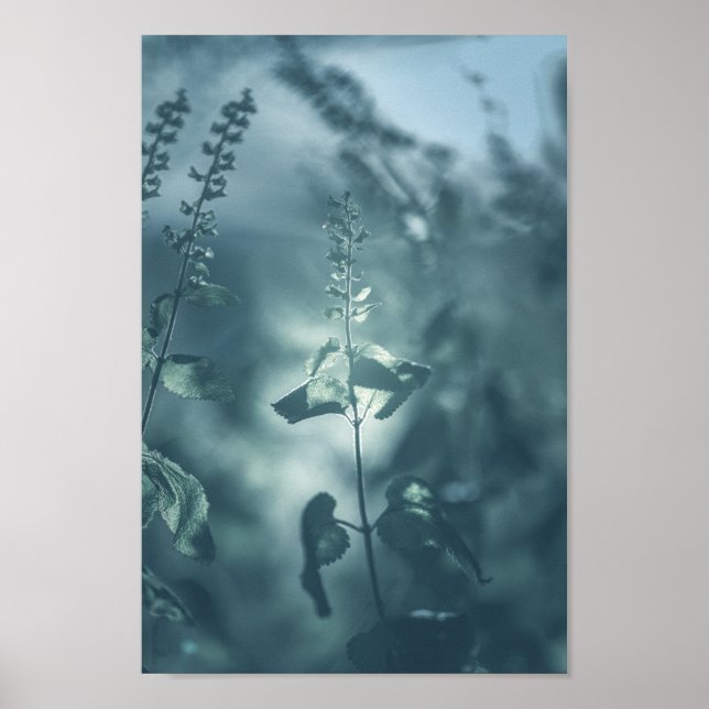 Foto för blommigtens natur poster (Framsidan)