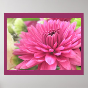 Foto för blommor för morsor för shock poster