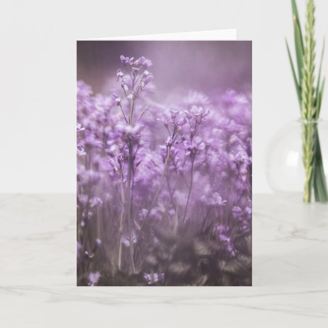 Foto för blomning i kuckoo kort (Framsida)