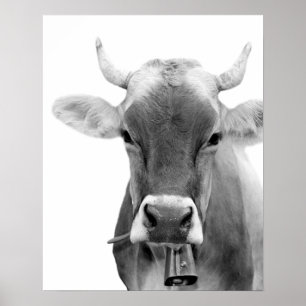 Foto för boskap för svartvit kolantgård djurt poster