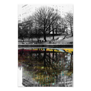 Foto för Central Park trädreflexion