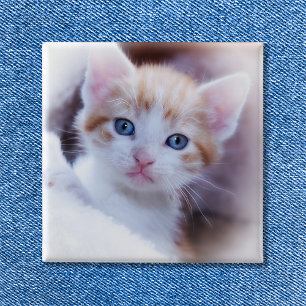 Foto för Cute Family Cat Square Knapp