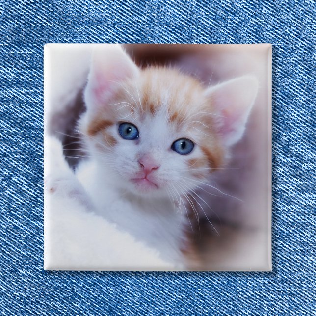 Foto för Cute Family Cat Square Knapp (Cute Family Cat Square Photo Button)