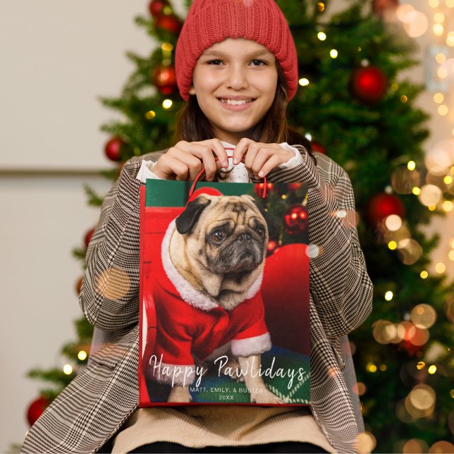 Foto för Cute Jul Red Hund Pet-familjen (Skapare uppladdad)