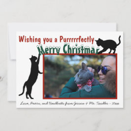 Foto för Cute Roligt-lekmater-God jul Julkort