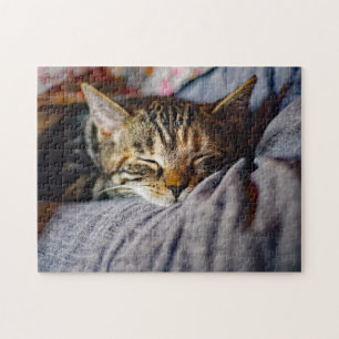 Foto för Cute Sleeping Tabby katt Pussel
