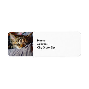 Foto för Cute Sleeping Tabby katt Returadress Etikett