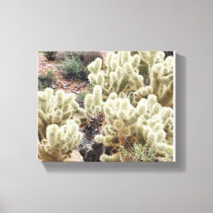Foto för Desert Radiance Cholla Cactus Canvastryck