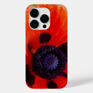 Foto för diskettenhet Orange blomma