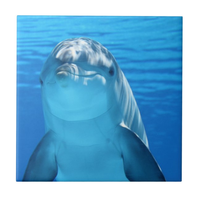 Foto för enkel Anpassningsbar Kakelplatta (Framsidan)