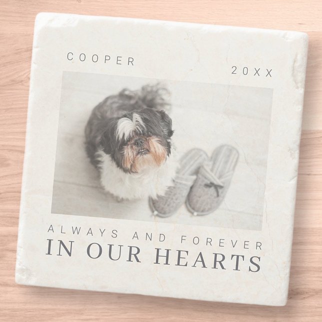 Foto för enkel modern Chic av citattecken Stenunderlägg (Skapare uppladdad)