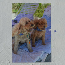 Foto för familjen Vacation Foto för den tropiska f