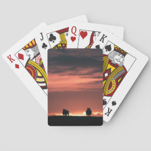 Foto för fårens solnedgångstyp casinokort