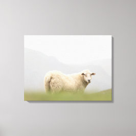 Foto för fårnatur canvastryck