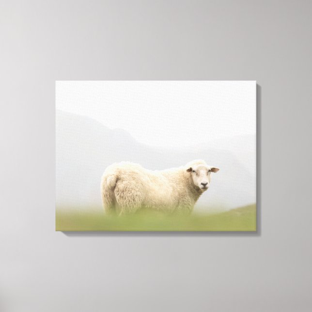 Foto för fårnatur canvastryck (Framsida)
