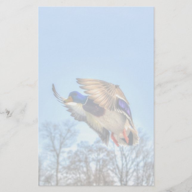 Foto för flygande Mallard Anka Drake Wildlife Brevpapper (Framsida)