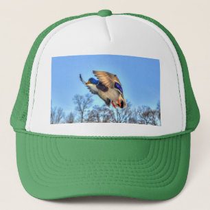 Foto för flygande Mallard Anka Drake Wildlife Keps