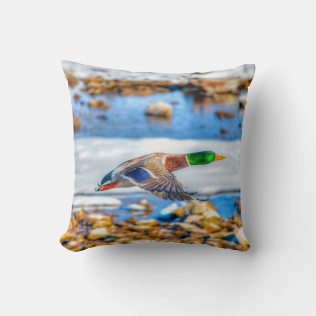 Foto för flygande Mallard Anka Drake Wildlife Kudde (Framsida)