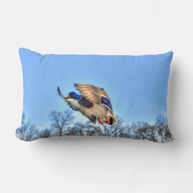 Foto för flygande Mallard Anka Drake Wildlife Lumbarkudde (Framsida)