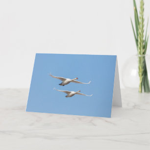 Foto för flygande Svanar-natur Kort