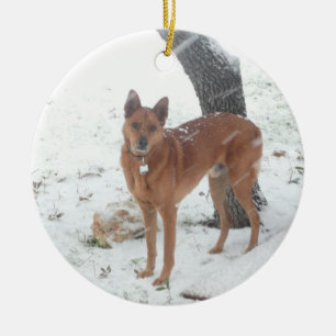 Foto för för julgranprydnadhusdjur eller familj julgransprydnad keramik