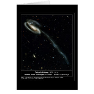 Foto för grodyngelgalaxHubble teleskop Hälsningskort