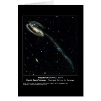 Foto för grodyngelgalaxHubble teleskop Hälsningskort