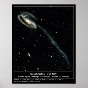 Foto för grodyngelgalaxHubble teleskop Poster